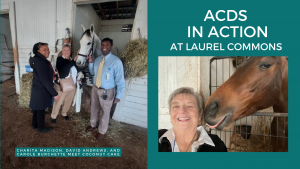 Four people stand smiling next to a white horse in a stable. On the right, a woman takes a selfie with a brown horse nuzzling her face. Text reads “ACDS in Action at Laurel Commons.” Names are listed at the bottom left.